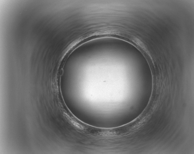 X0000060800789200511171240