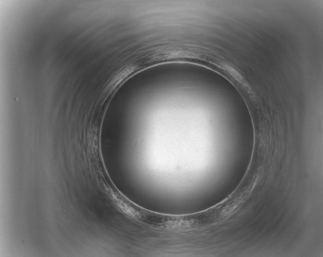 X0000060800793200511171240