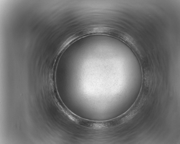 X0000060800794200511171240