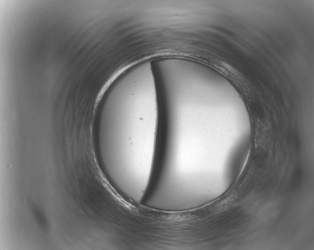 X0000060800796200511171240