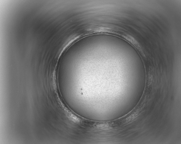 X0000060800798200511171240