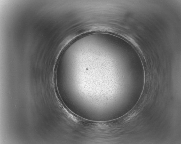 X0000060800799200511171240