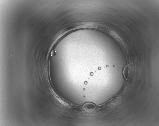 X0000060800800200511171240