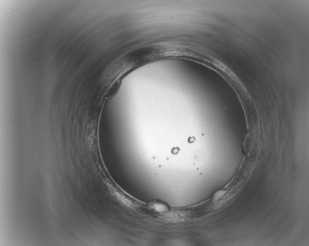 X0000060800801200511171240