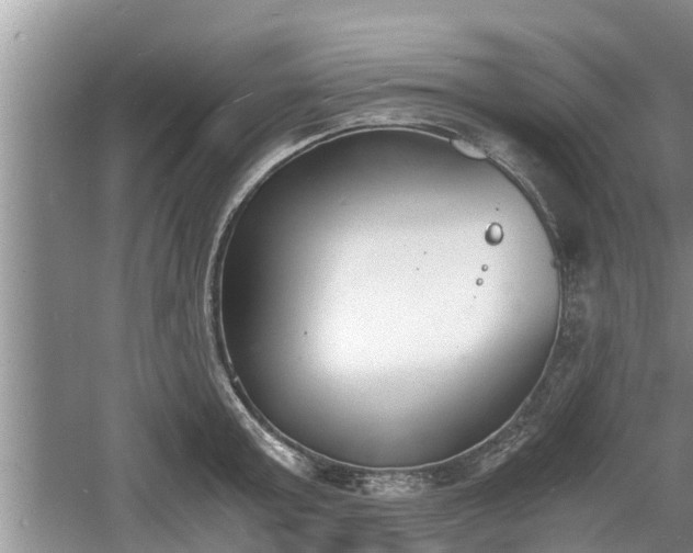 X0000060800803200511171240