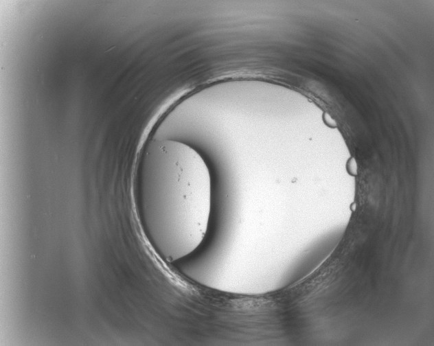 X0000060800804200511171240