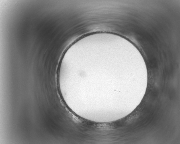 X0000060800807200511171240