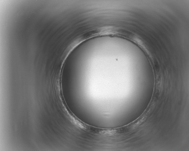 X0000060800810200511171240