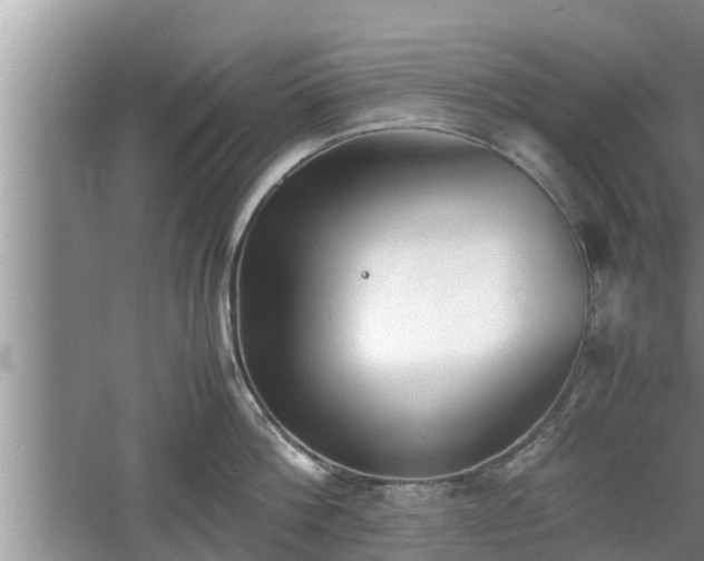 X0000060800812200511171240