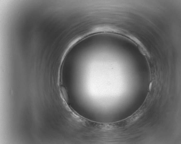 X0000060800815200511171240