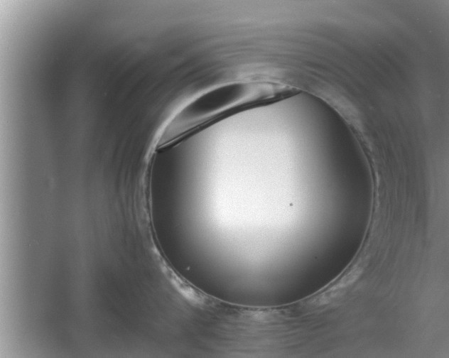 X0000060800816200511171240