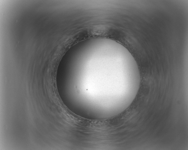 X0000060800817200511171239