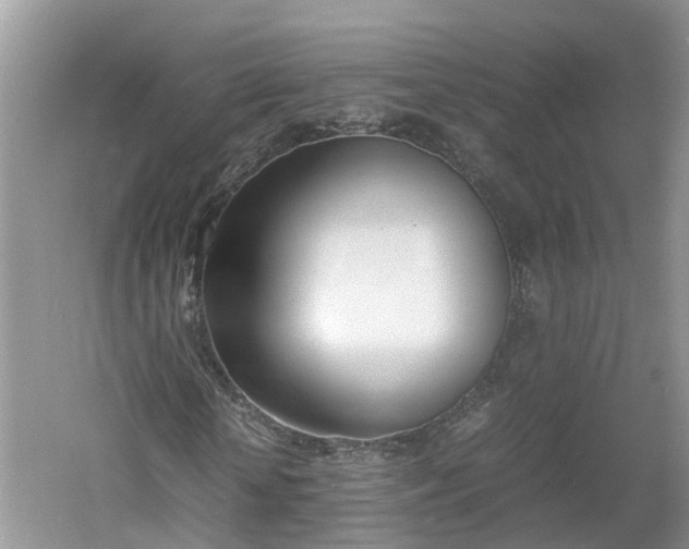 X0000060800818200511171239