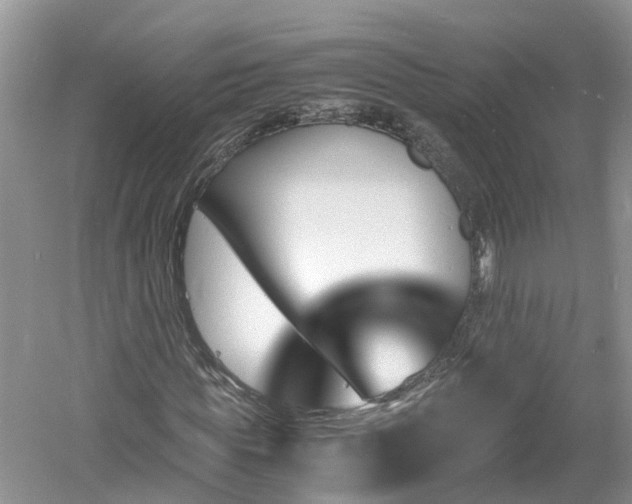 X0000060800819200511171239