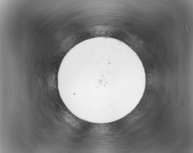 X0000060800820200511171239