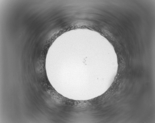 X0000060800824200511171239