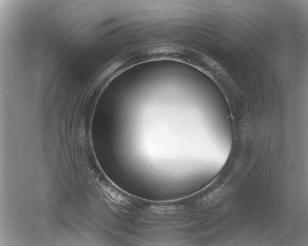 X0000060800825200511171239