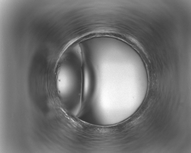 X0000060800829200511171239