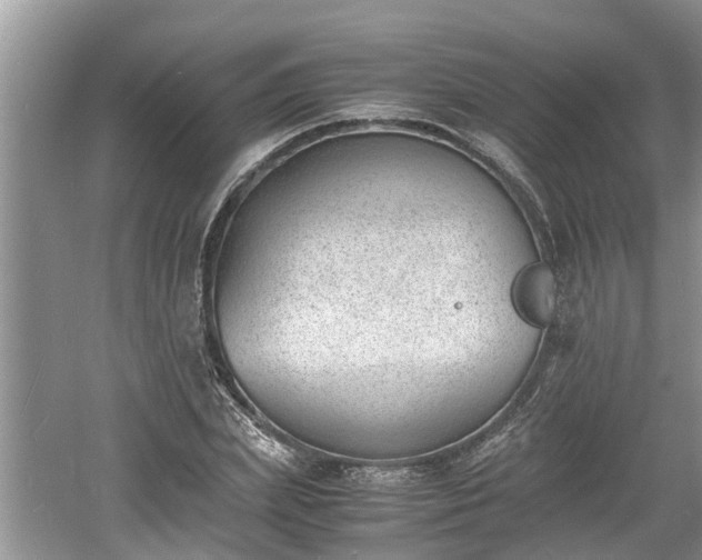 X0000060800831200511171239