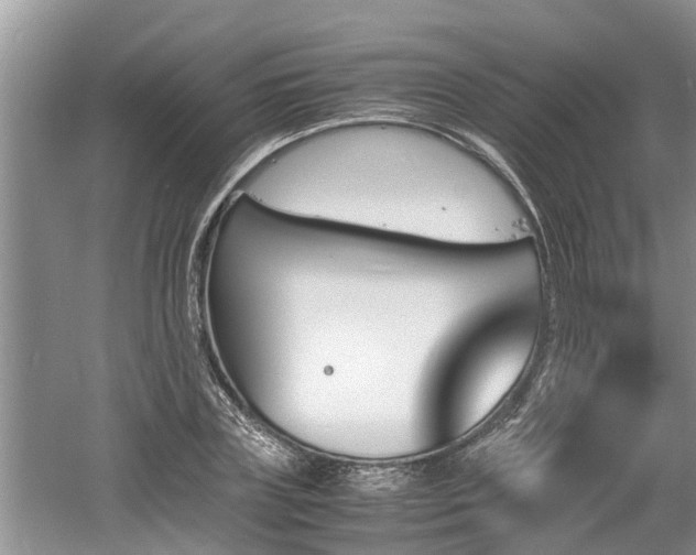 X0000060800835200511171239