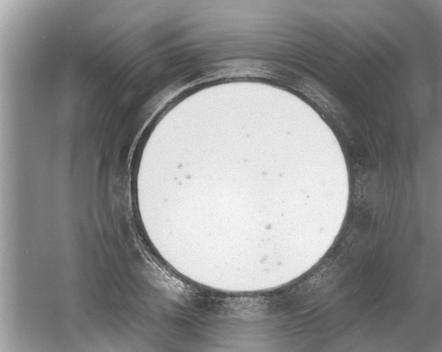 X0000060800836200511171239