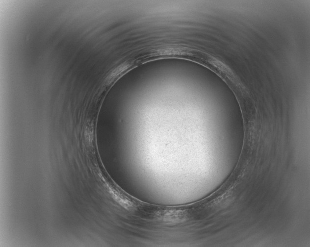 X0000060800841200511171239