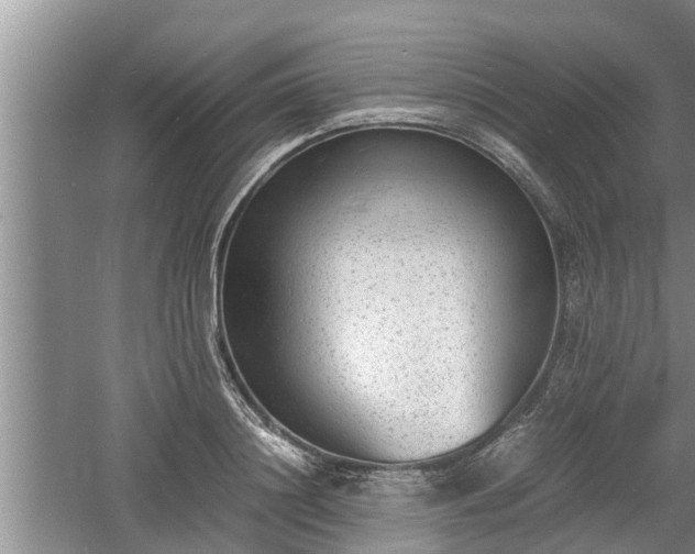 X0000060800844200511171239