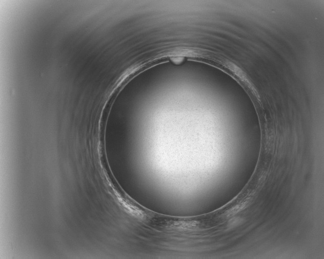 X0000060800845200511171239