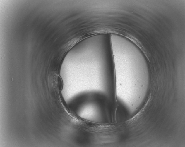 X0000060800849200511171240