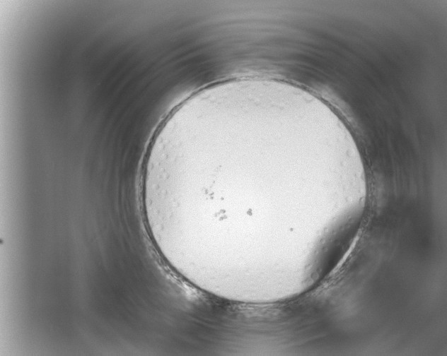 X0000060800856200511171240