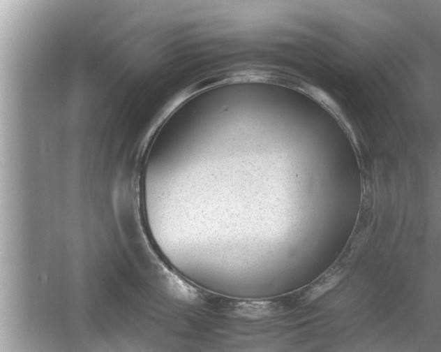 X0000060800859200511171240