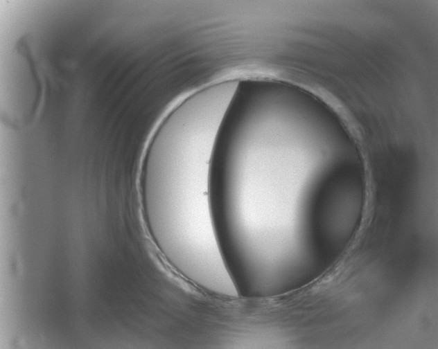 X0000060800864200511171240