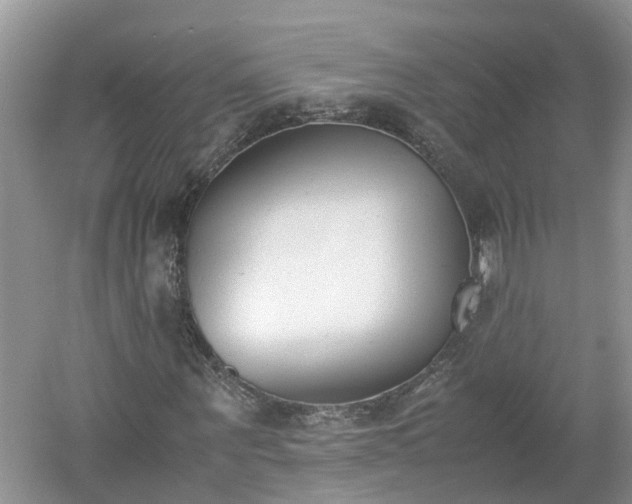 X0000060800867200511171239