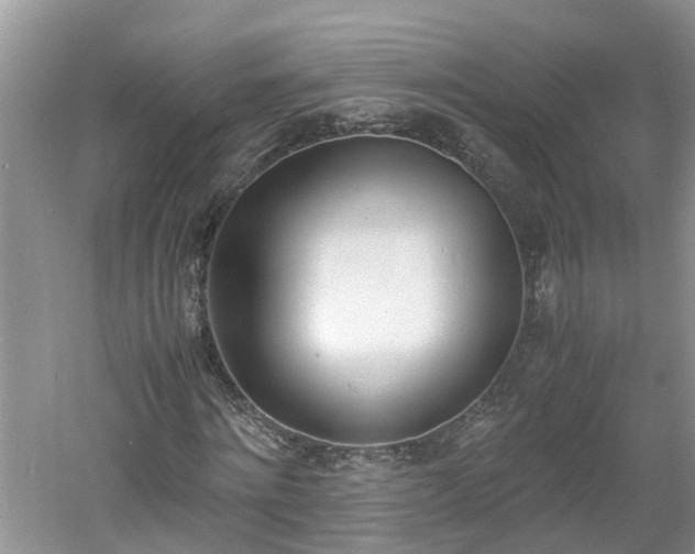 X0000060800868200511171239