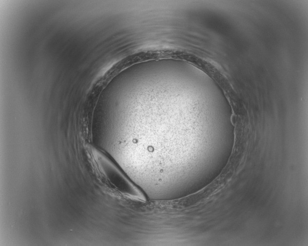 X0000060800871200511171239