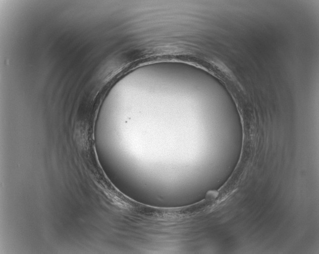 X0000060800873200511171239