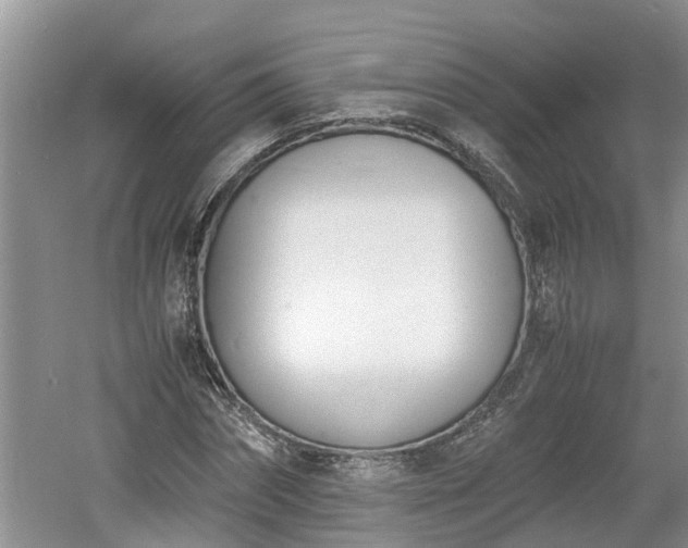 X0000060800874200511171239