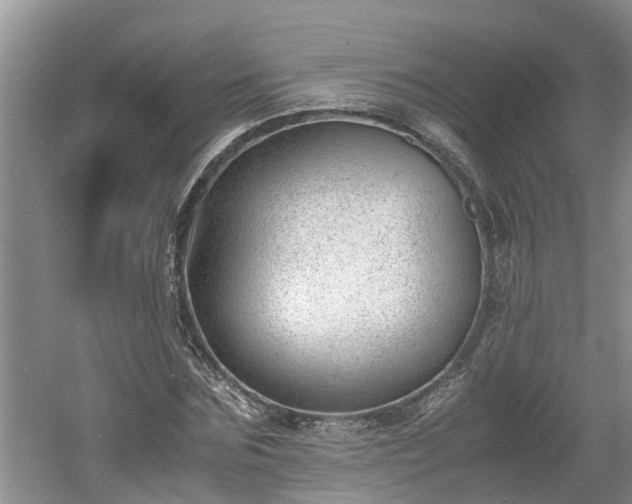 X0000060800875200511171239