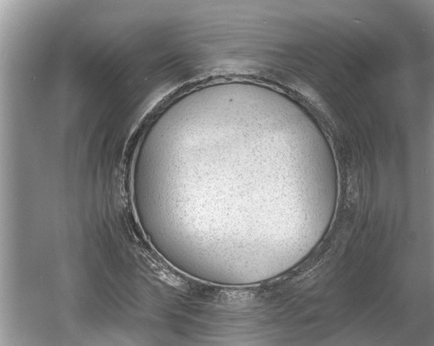 X0000060800878200511171239