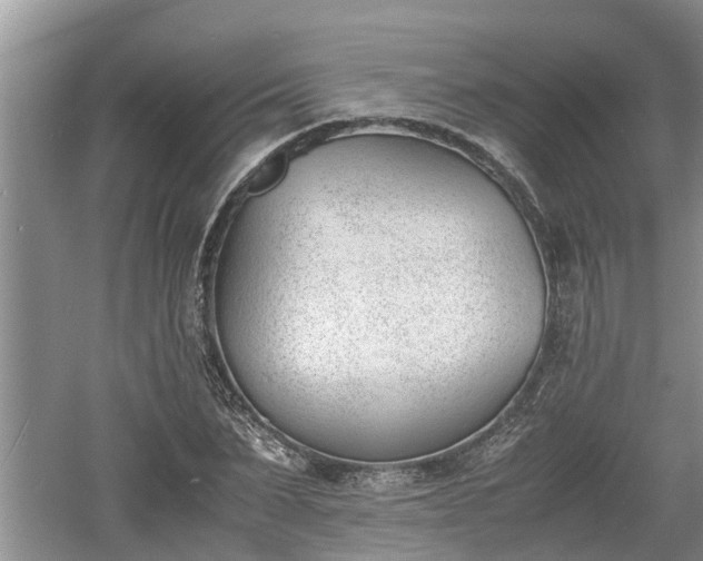 X0000060800879200511171239