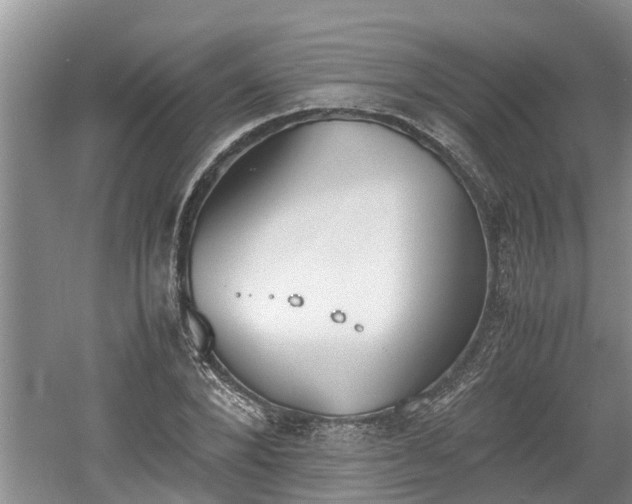 X0000060800880200511171239