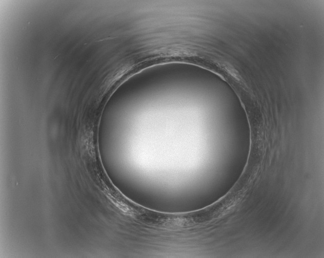 X0000060800881200511171239