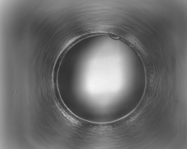 X0000060800884200511171239