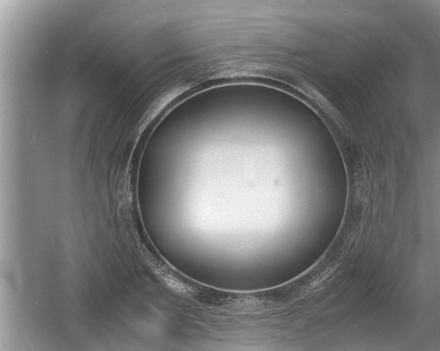 X0000060800885200511171239