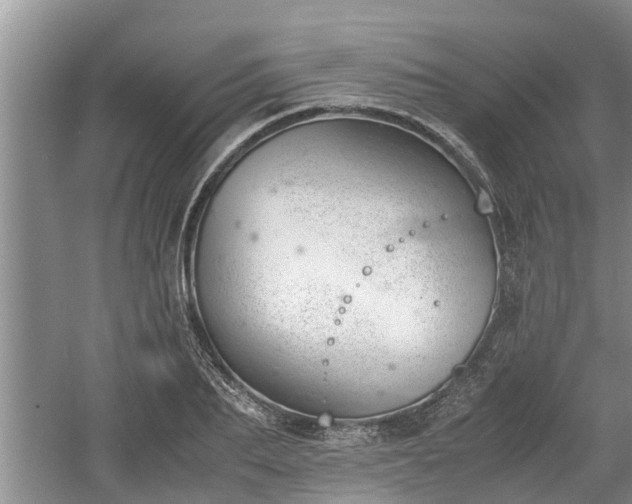 X0000060800887200511171239