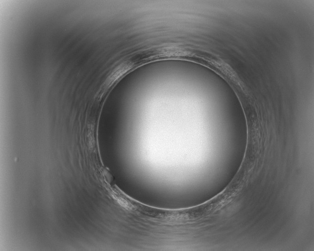 X0000060800889200511171239