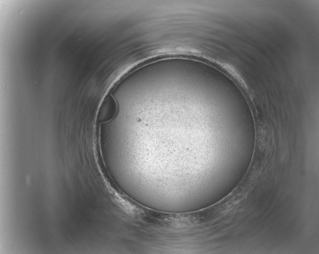 X0000060800895200511171238