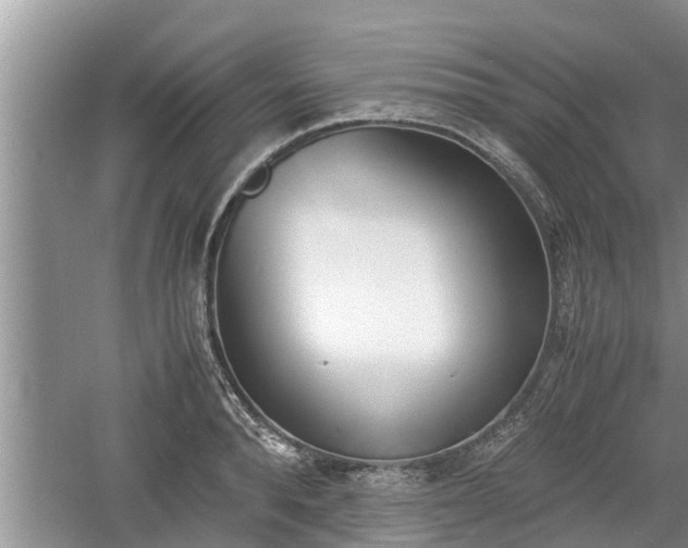 X0000060800896200511171238