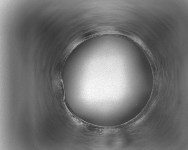 X0000060800905200511171238