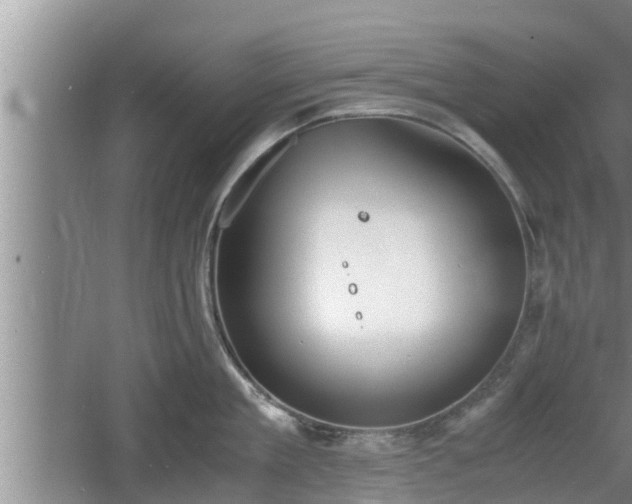 X0000060800909200511171238